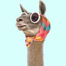 Profile image of gekas