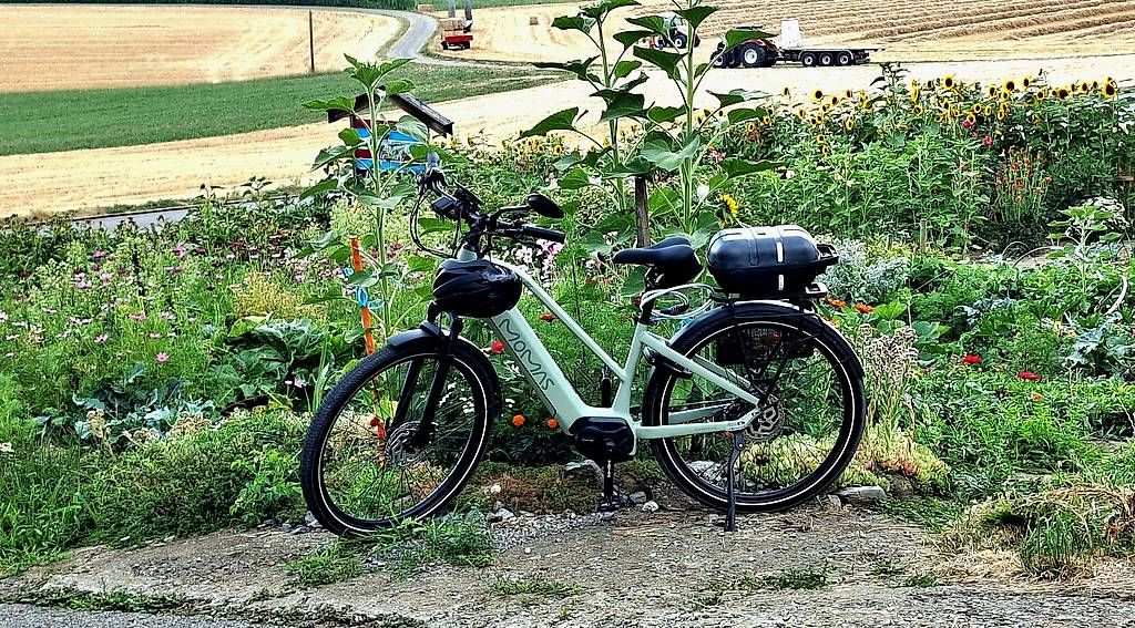 Pezzi di ricambio: E-Bike Momas Supernova – Usato da Rothenburg venduto da Staro111 1