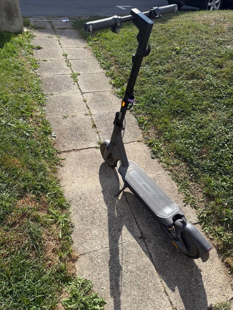 Scooter: Ninebot – Usato da Altstätten SG venduto da ali_f7vk 2