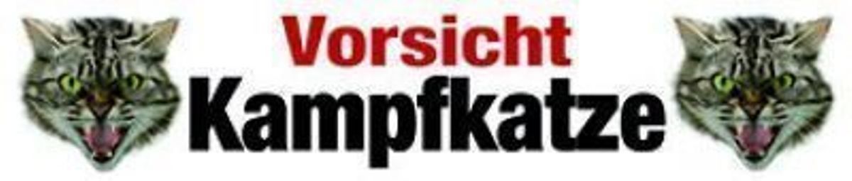 Insegne: Blechschild-VORSICHT KAMPFKATZE-QUER – Nuovo e nell'imballaggio originale da Rupperswil venduto da big-one-sale