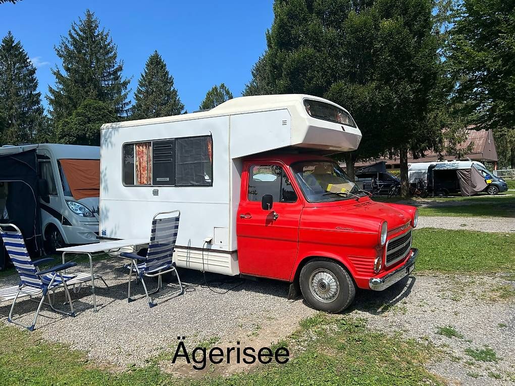 Véhicules utilitaires: Ford Transit  – D'occasion à weinfelden par dsburg01 1
