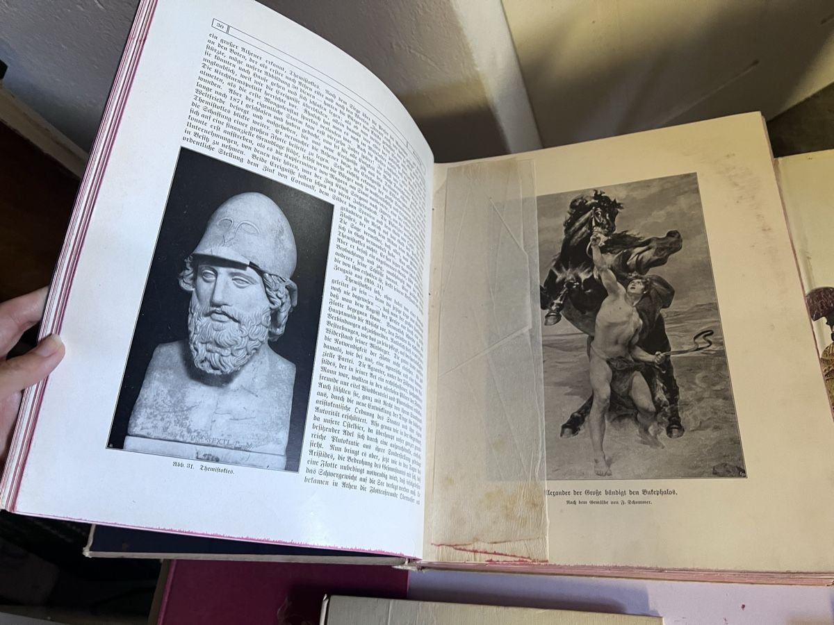 Bücher: Verschiedene Antike Bücher (10) – Gebraucht aus Glattfelden von maa_qcj8 8