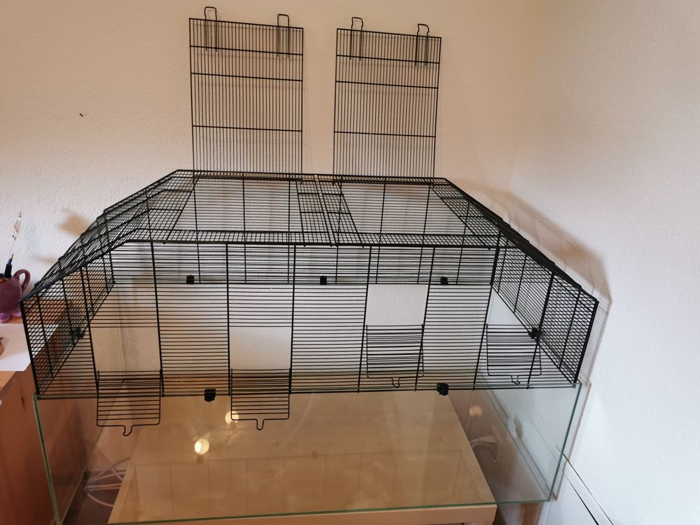 Großes Glasterrarium Mit Metallwanne & Kugelfüßen – Für Pflanzen & Kleintiere, 24,1x14,5x30 Cm