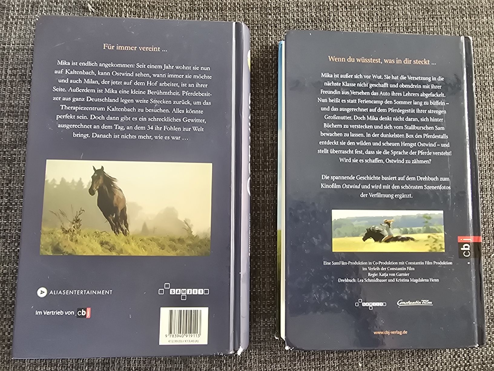Libri: Buch Ostwind – Usato da Lostorf venduto da Venice16 1