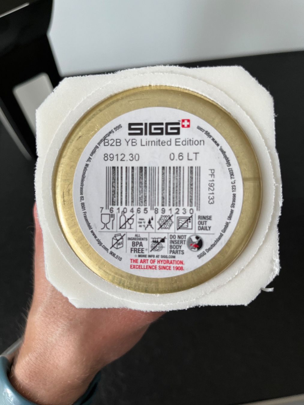 Sigg Borracce & Thermos: Limited SIGG Getränkeflasche BSC YB – Usato da Lommiswil venduto da Blusti 5
