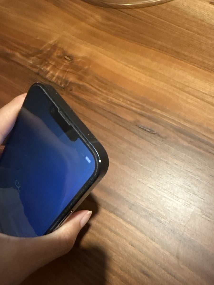 Apple Telefoni cellulari / Smartphones: iPhone 13 – Usato da Rorschach venduto da pescapesca 2