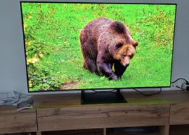 Samsung OLED 55" S90C QD-OLED  +2 Jahre,Garant