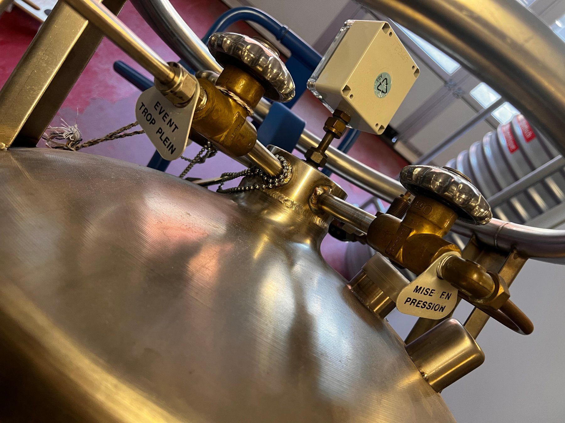 Accessori da laboratorio: Cryo Diffusion RBP 200 VLR flüssig Stickstofftank – Usato da Niederdorf venduto da LeptonAG_Labor 2