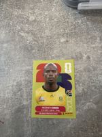 Panini RSA 10