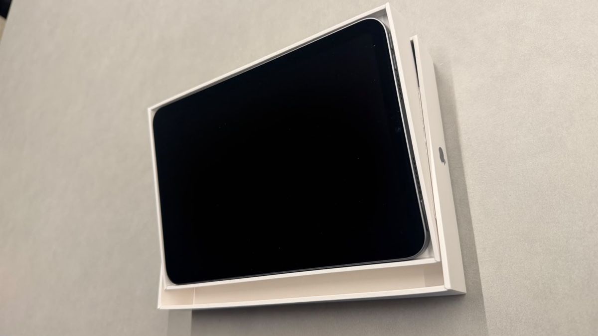 Apple Tablet PC: Apple iPad mini 7 Tablet A17 Pro – Nuovo (secondo la descrizione) da Ibach venduto da Harmony0717