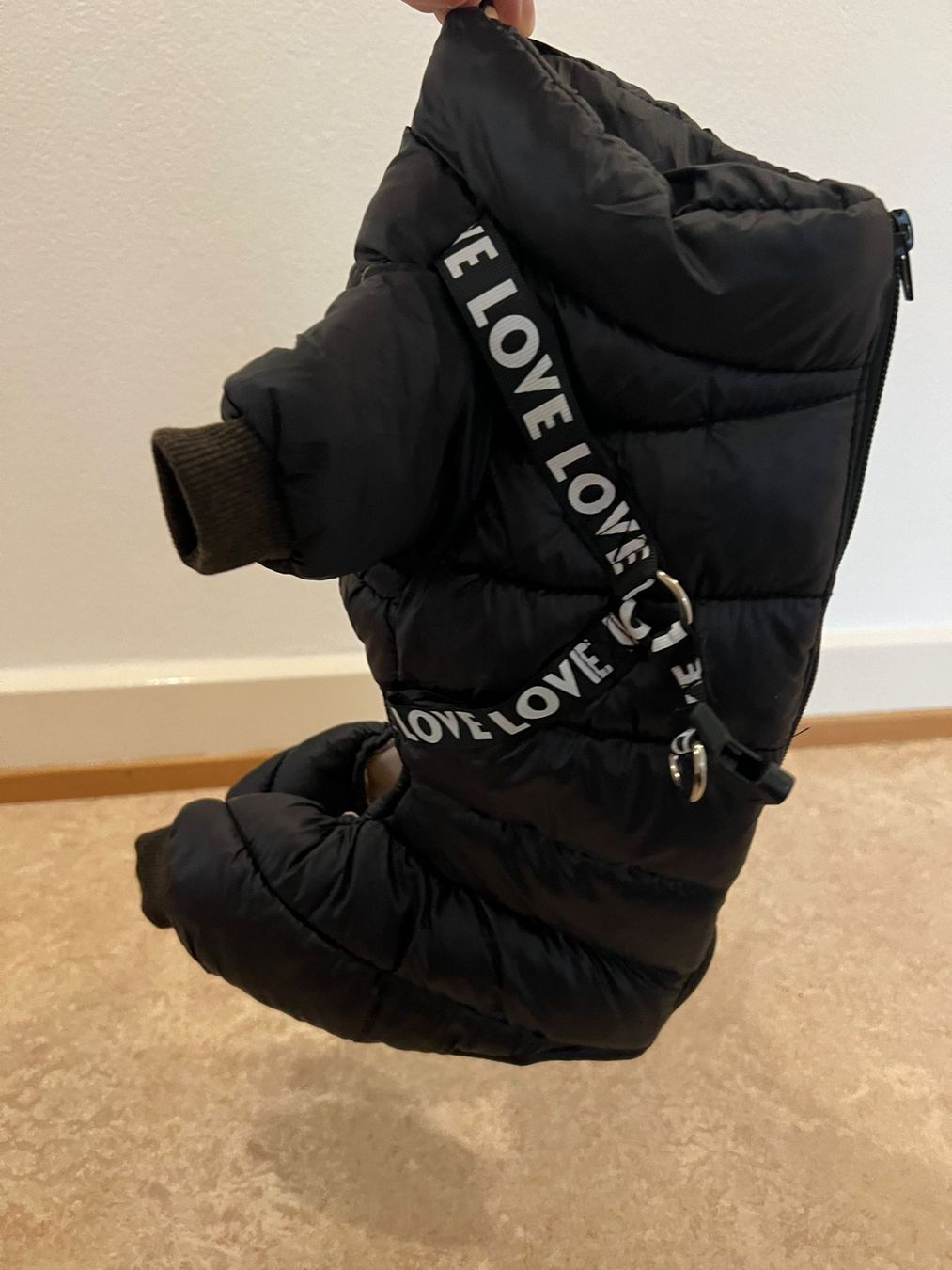 Vêtements: Hundebomberjacke – Neuf avec emballage d'origine à Zürich par kitsune 3