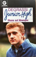 Buch - Shane auf Abwegen