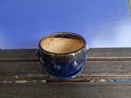 Vaso bonsai rotondo con sottovaso