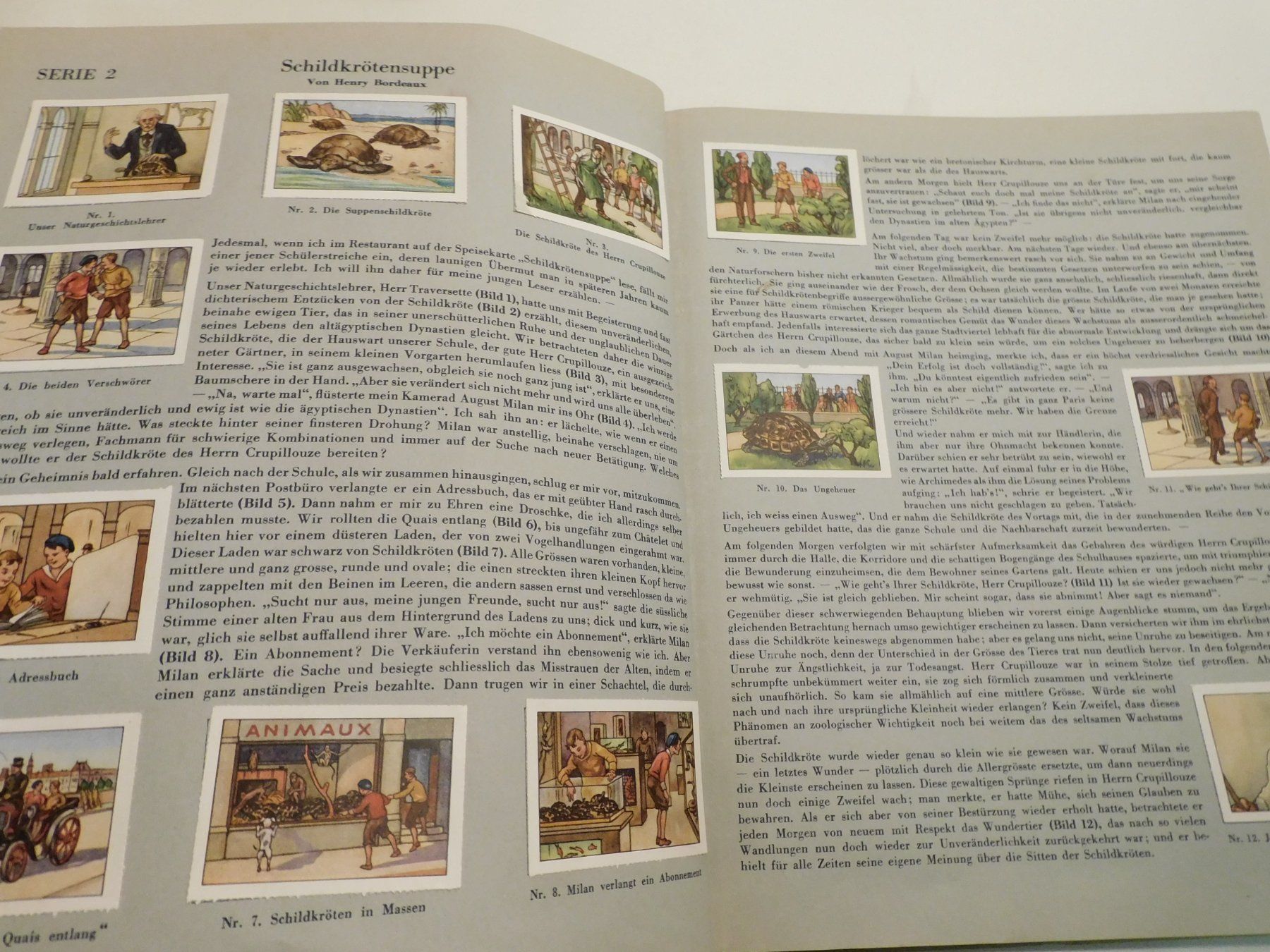 Libri: Sammelbuch Chocolade Nestle Peter Cailler Kohler 1932  kompl – Usato da Sursee venduto da 76 2