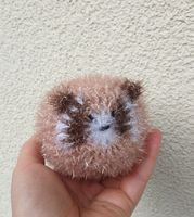 Handgemachter Peelingschwamm  Spülschwamm Waschbär  3 D