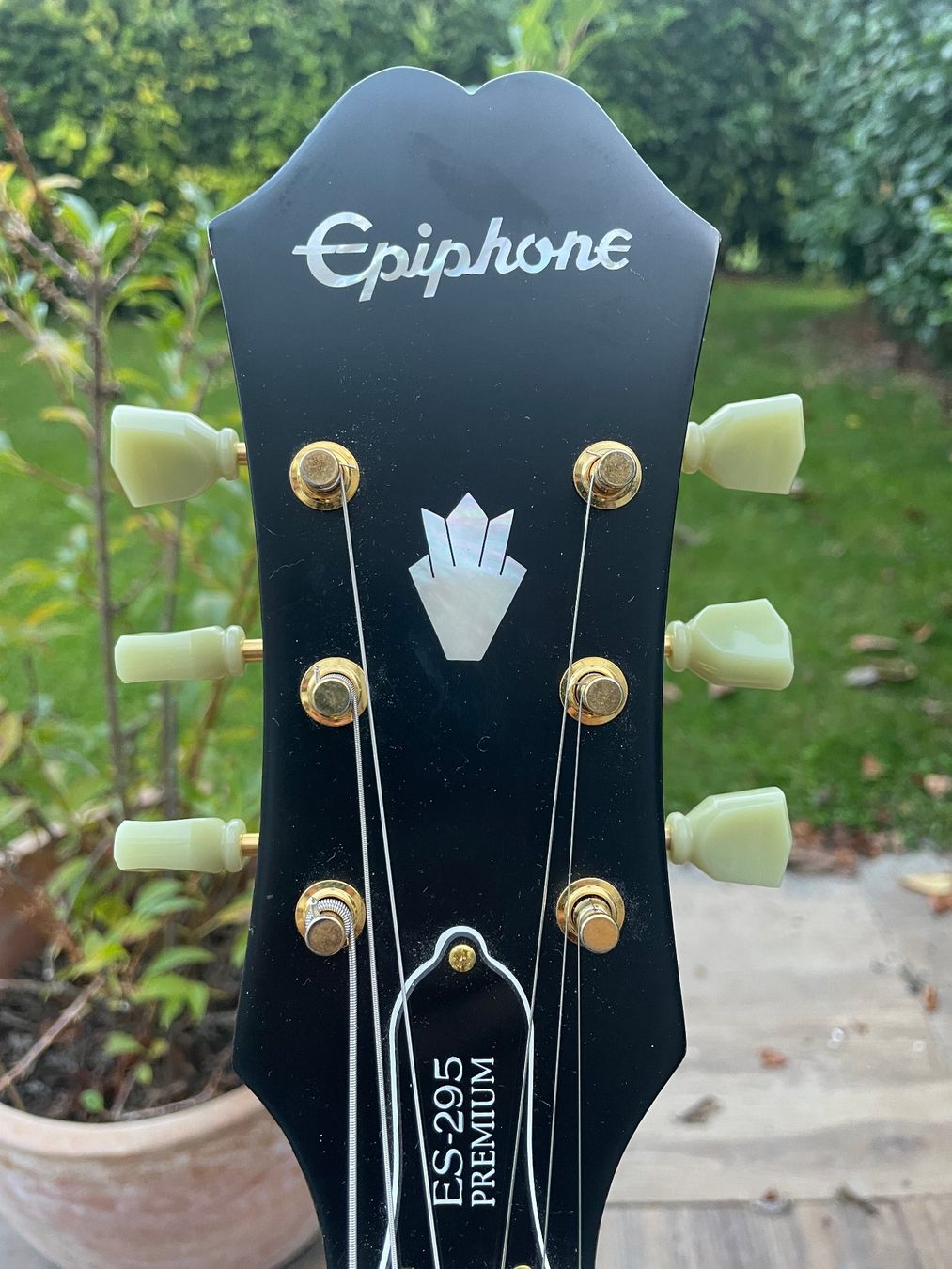 Epiphone Strumenti musicali: Epiphone Limited Edition 2016 ES-295 Premium – Nuovo (secondo la descrizione) da Leytron venduto da aco_d52m 5