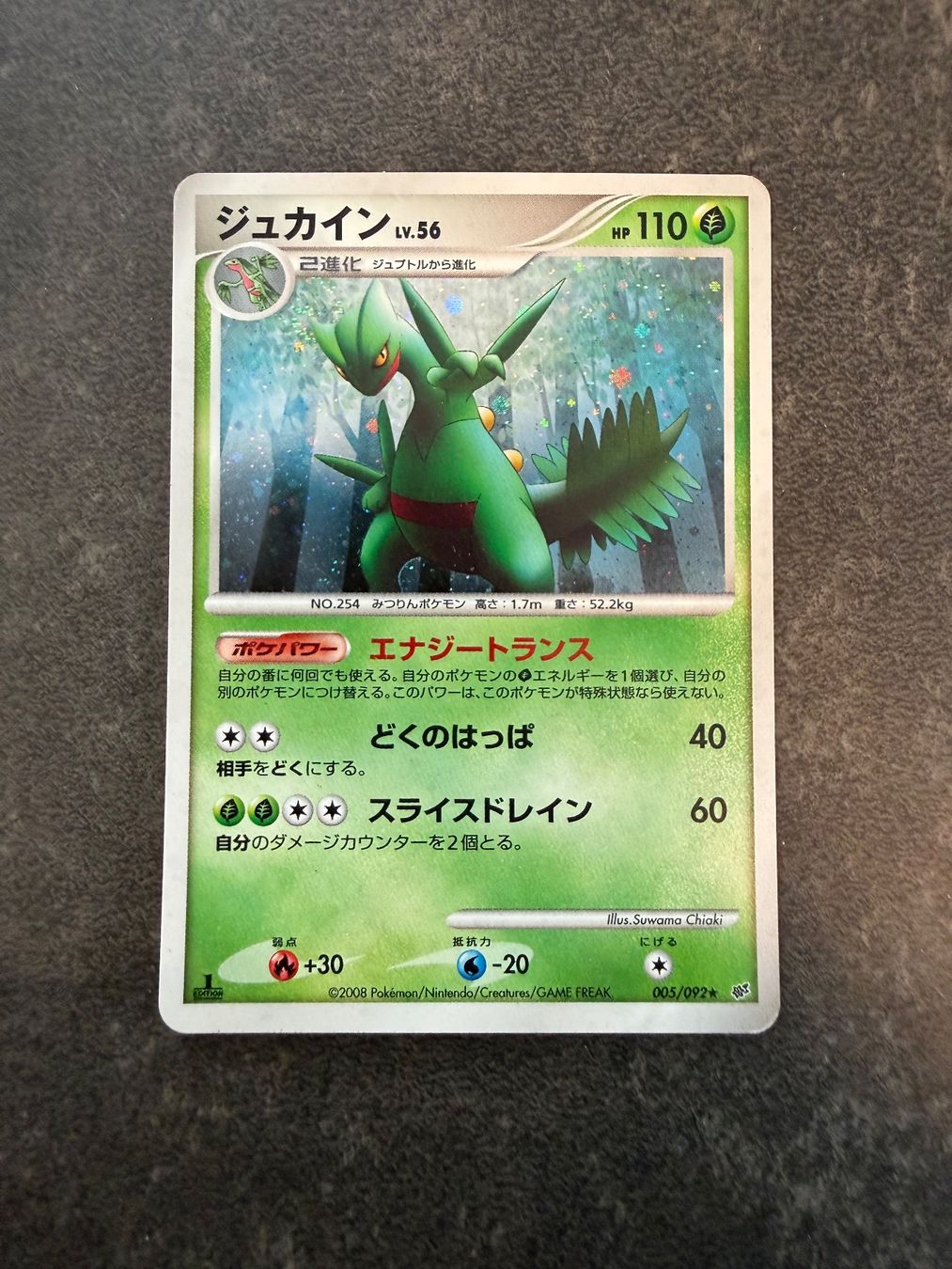 Pokémon Cartes à collectionner: Pokémon - Sceptile lv.56 - 1st. Ed. - JP – D'occasion à Arzo par Pokeversum