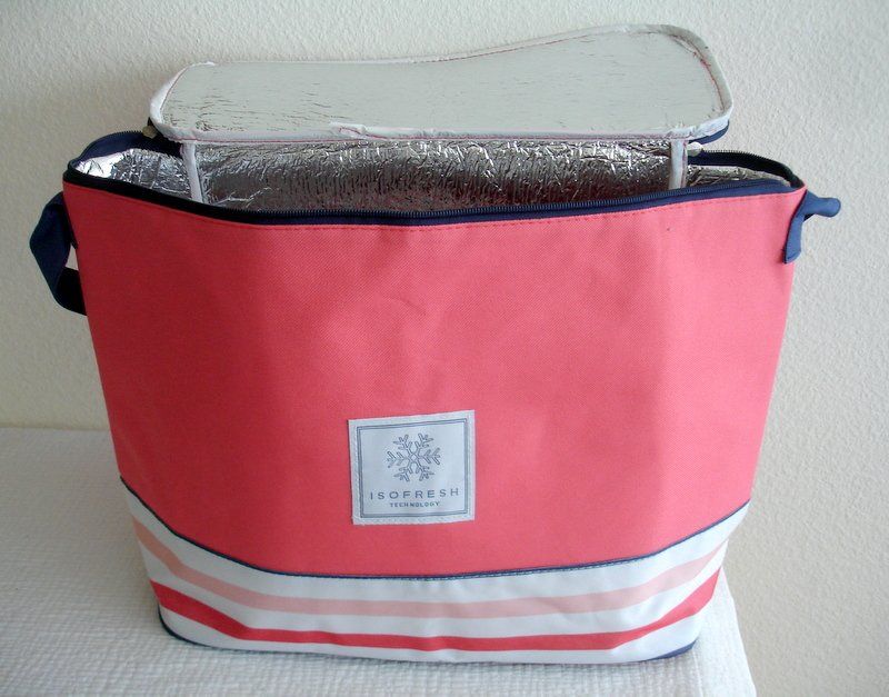 Kühlschränke & Kühlen: 2er Set: elegante Kühltasche - Box & Freizeit-Tasche – Gebraucht aus Regensdorf von anna059 3
