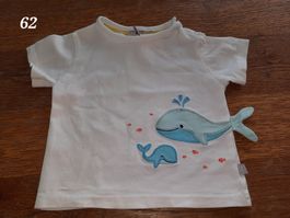Süsses Baby T-Shirt Gr. 62 mit Wal Applikation, Top!