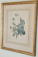 Kunstdruck Rose Anemone und Waldrebe Pierre-Joseph Redouté
