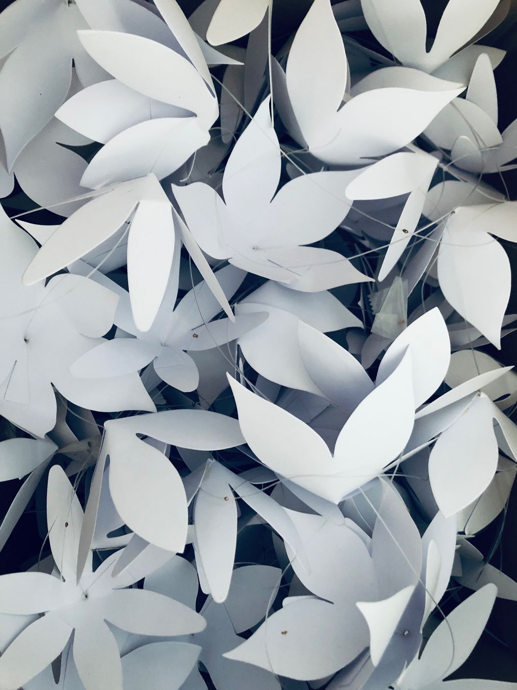 Tutte le decorazioni: Wunderschöne Papierblumen Girlande – Usato da Arlesheim venduto da leyRum4.5