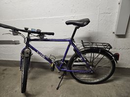 Grosses Herrenvelo von Clio
