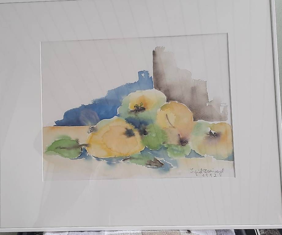 Dipinti: Aquarell  – Usato da Zuckenriet venduto da Delta31 2