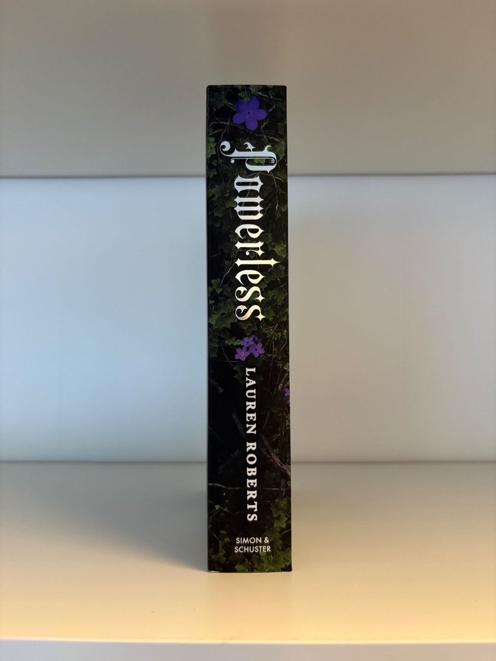 Libri: Powerless - Lauren Roberts – Nuovo (secondo la descrizione) da Steffisburg venduto da elsa.catalina 2