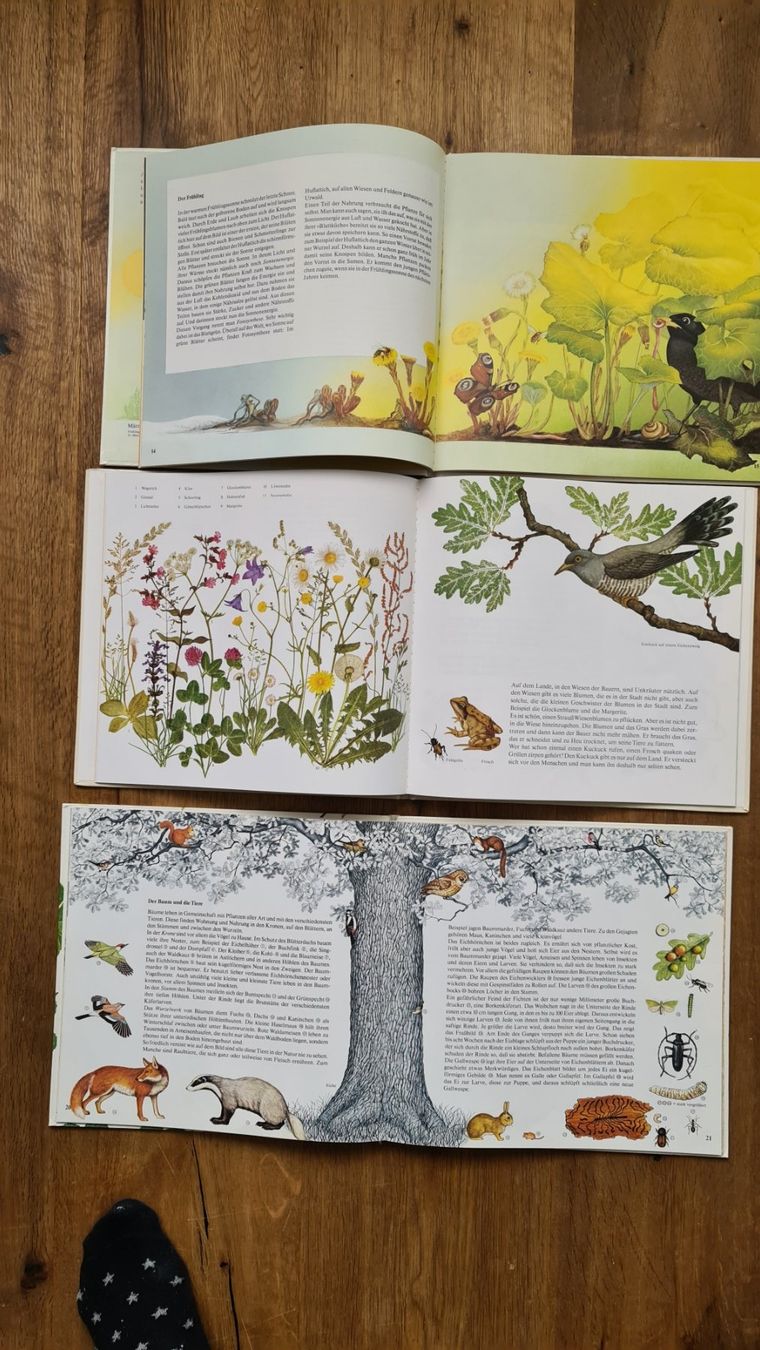 Libri: Die uhr bücher set – Usato da Wittenbach venduto da Tigerlili 3