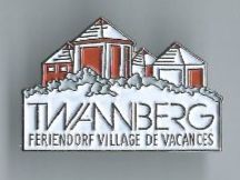 Placchette & Badge: Twannberg - Pin – Usato da Zürich venduto da t24_de