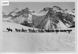 Arosa - Arlenwald-Rundfahrt mit Pferdeschlitten