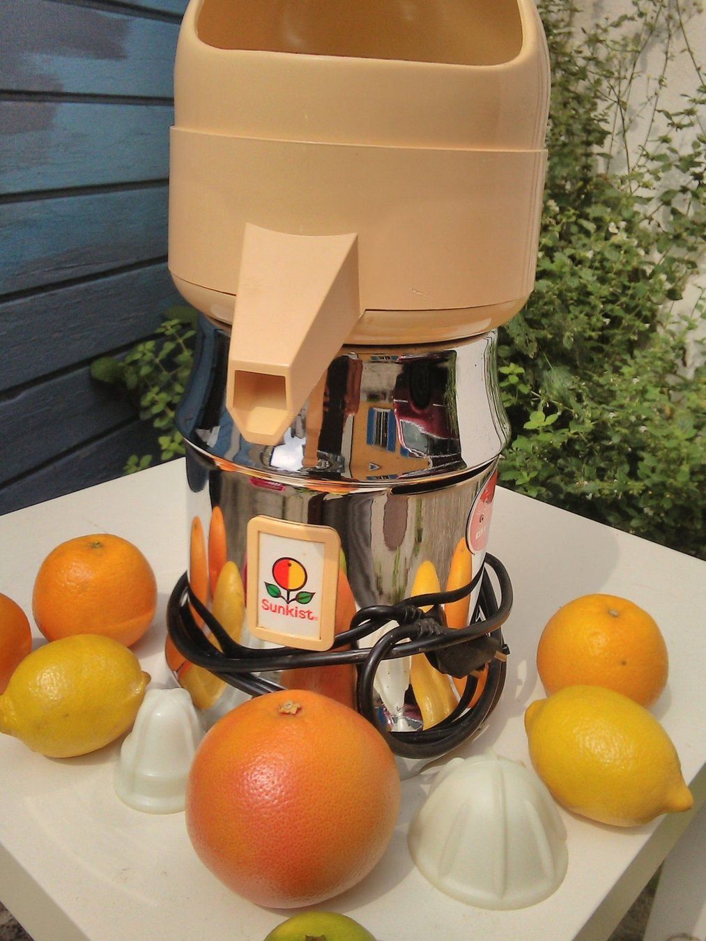 Elettrodomestici da cucina: Profi Entsafter von Sunkist – Usato da St. Gallen venduto da elk2020 1