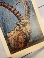 Fritz Hug, Poster Steinbock 49cmx70cm