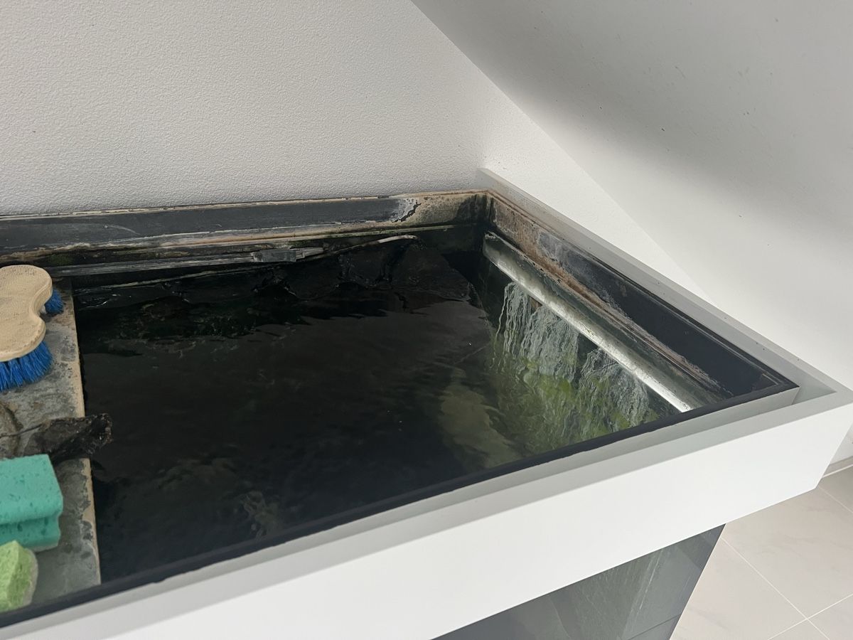 Acquari: Grosses Aquarium – Usato da Dietwil venduto da sarn 6