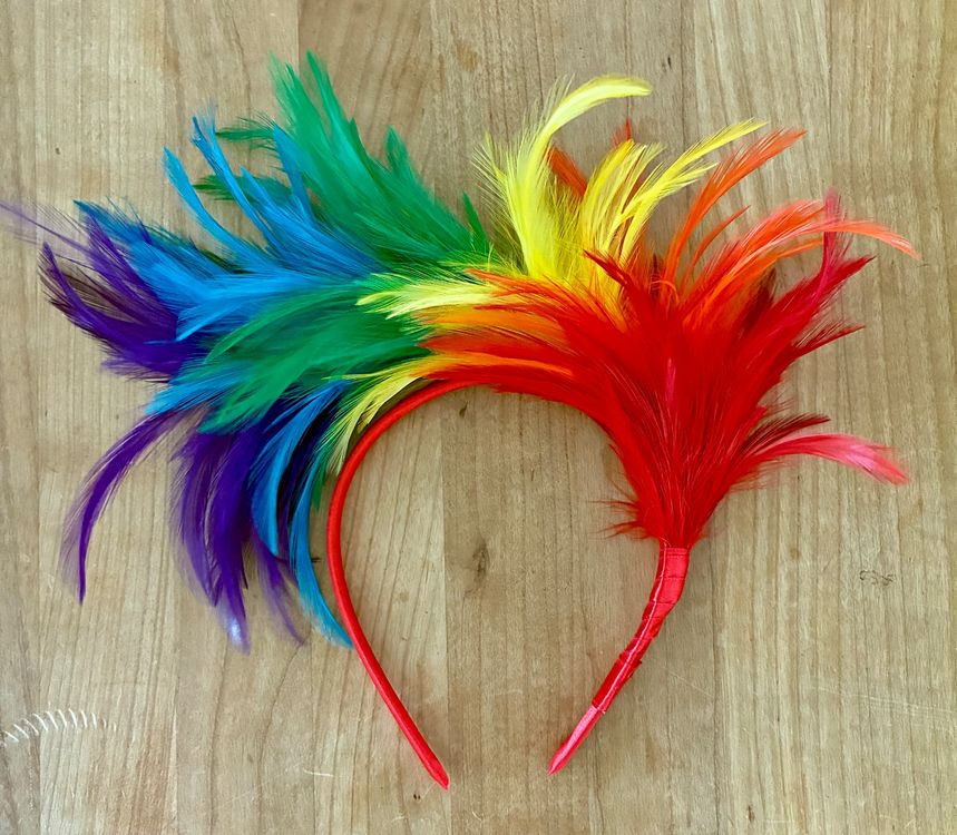 Costumes: Faszinierendes Feder Stirnband in Regenbogenfarben, Neu! – Neuf (Voir description) à Zürich par tersus1981 1