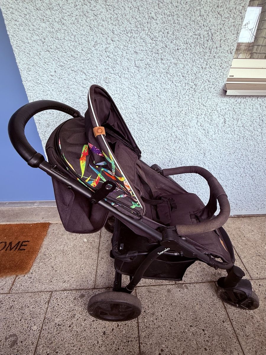 Lionelo Carrozzine: Lionelo Kinderwagen – Usato da Zürich venduto da lenchen2 3