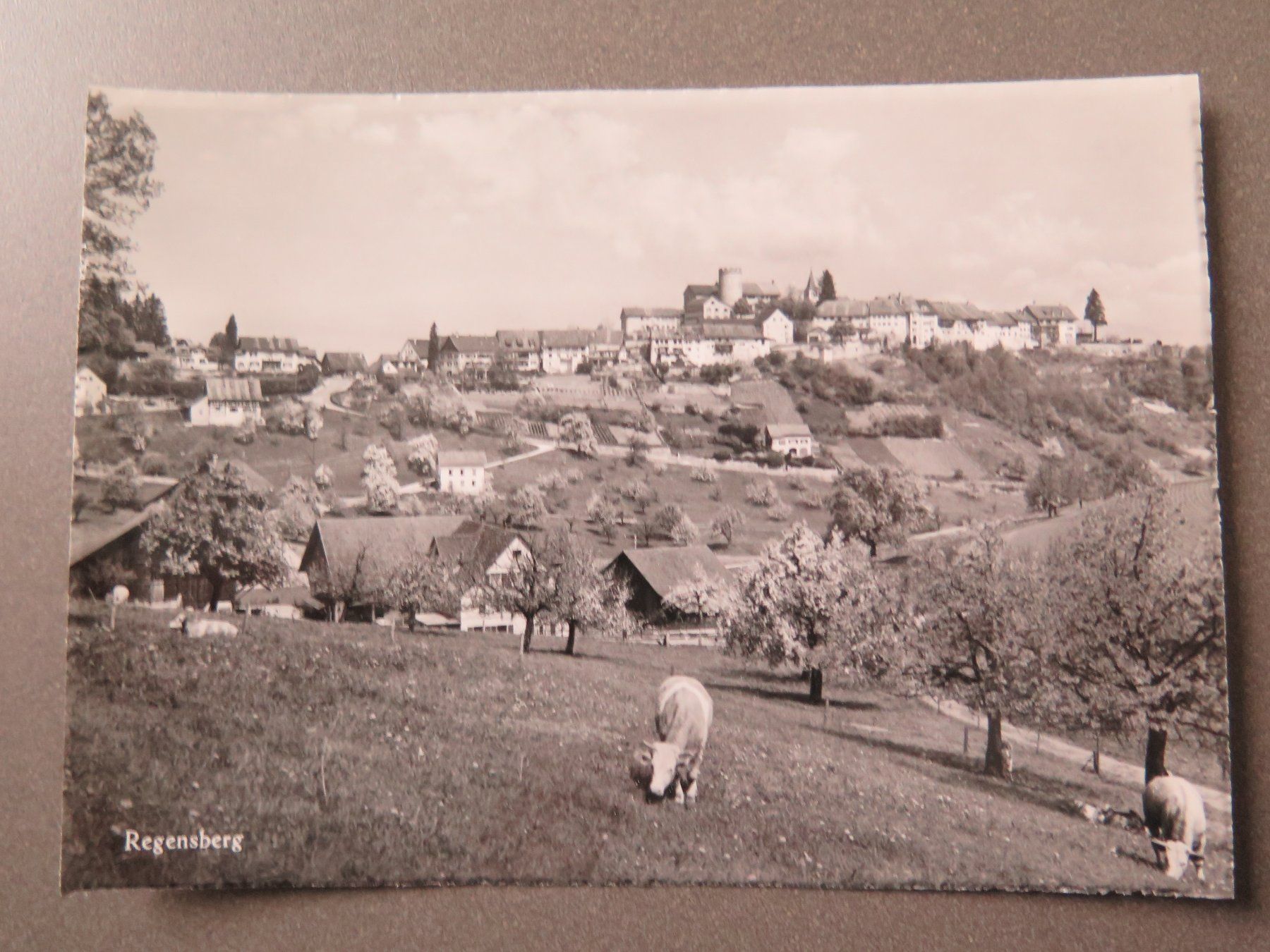 Cartoline postali: REGENSBERG – Usato da Wittenbach venduto da lipasal