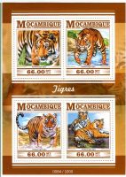 Block "Tiger". Mosambik.
