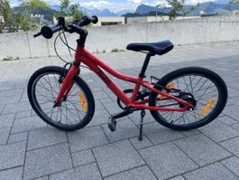 Flizzi 20 Zoll