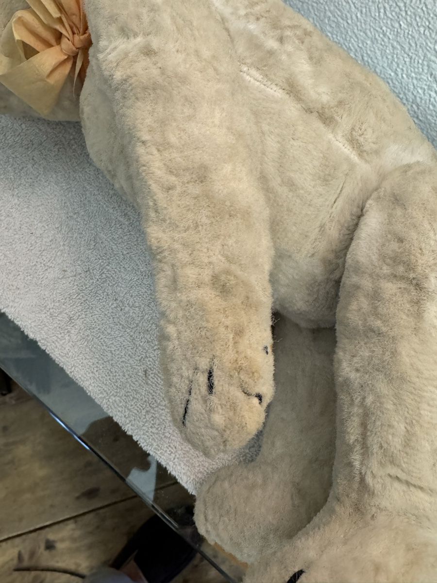 Giocattoli: Teddybär – Usato da Binningen venduto da kal_5nsj 3