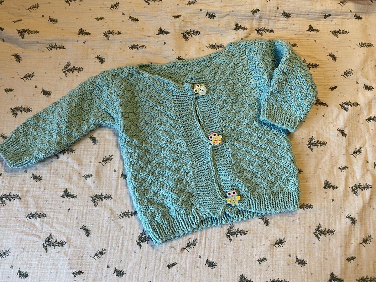 Maglioni & Felpe: Wolljäckchen handmade 74/80 – Usato da Happerswil venduto da angela_schlatt