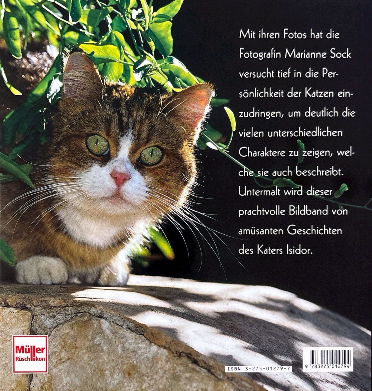 Libri: Kater Isidor und seine Katzen – Nuovo (secondo la descrizione) da Sarnen venduto da Livres 1