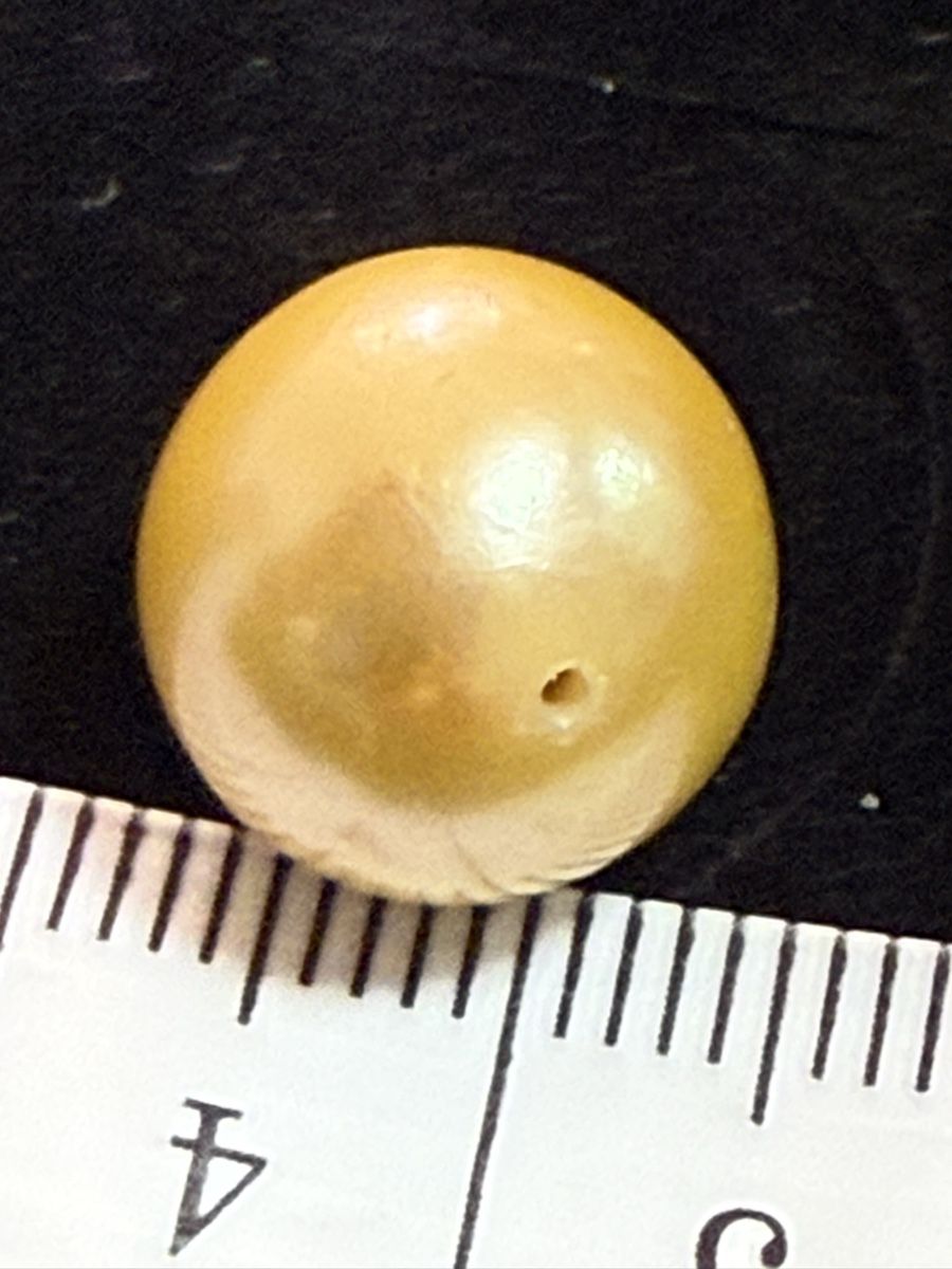 Perle (finte): Echt Südsee Perlen Goldener Farbe – Nuovo (secondo la descrizione) da Oberhof venduto da RealStone 3