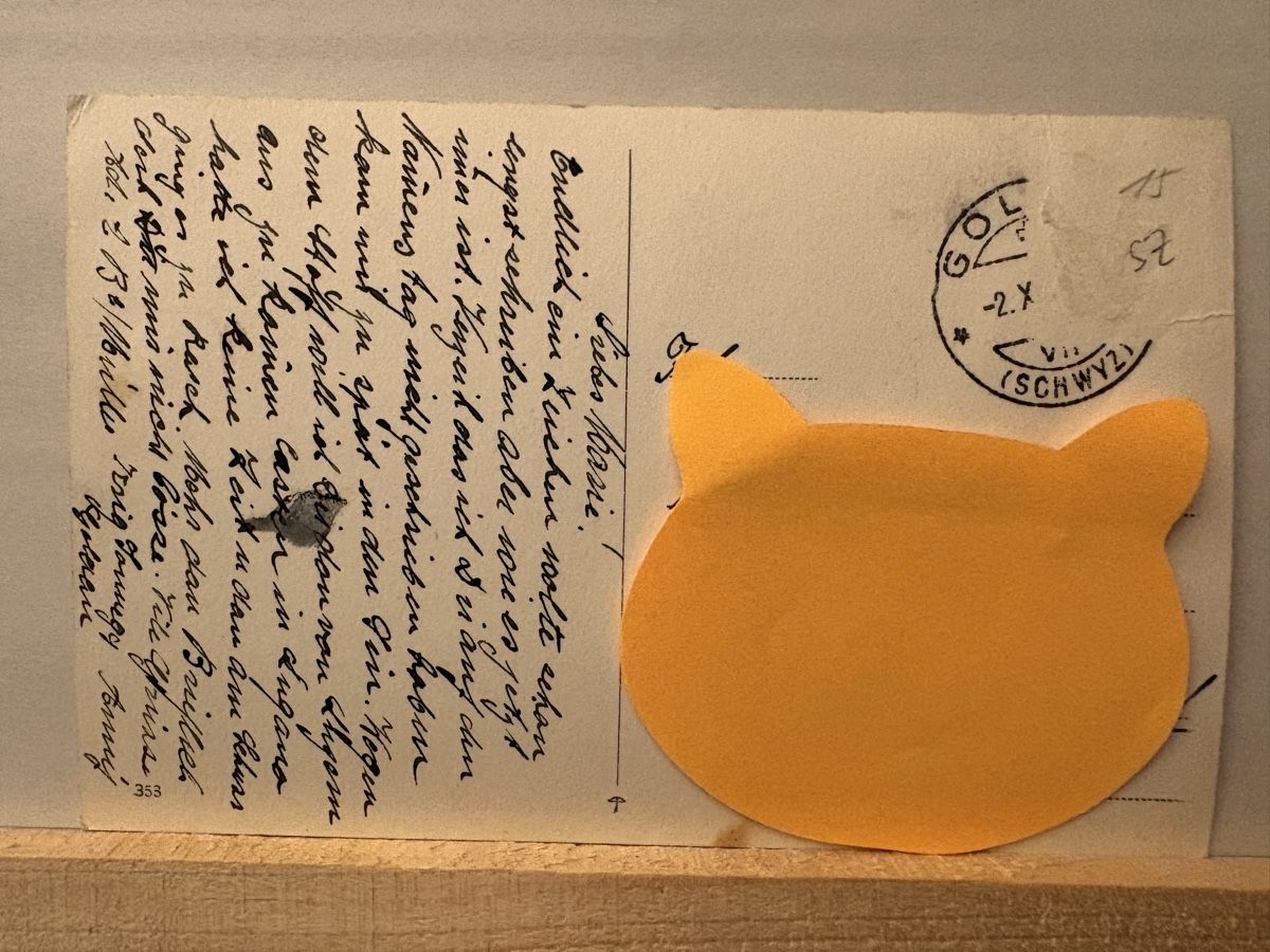 Cartoline postali: AK von Goldau & Rosenberg – Usato da Rümlang venduto da Kartenpost1 1