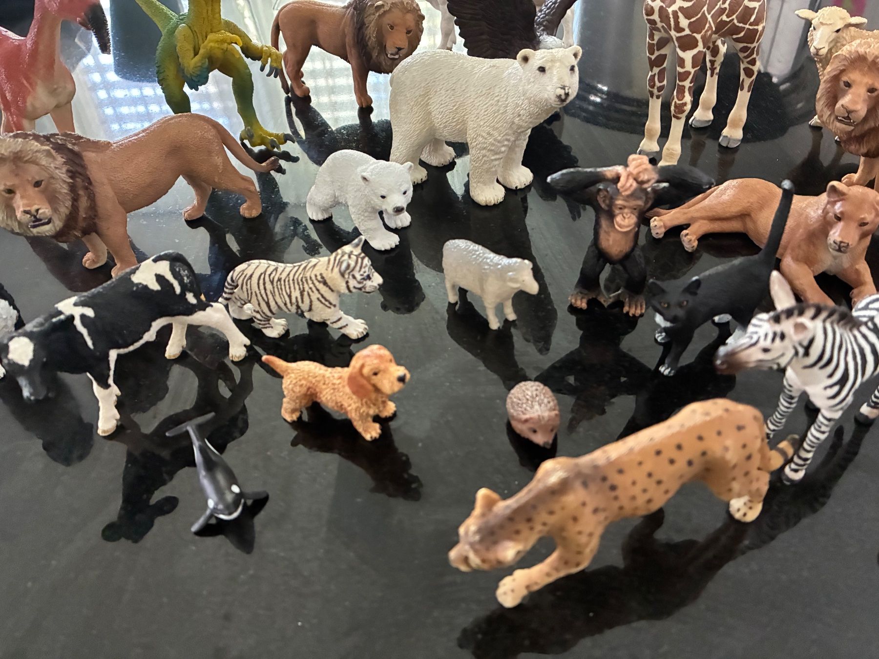 Schleich Giocattoli: Tierfiguren Sammlung, viele Schleichtiere – Usato da Obergösgen venduto da Diveda 2