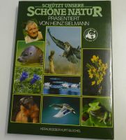 Buch