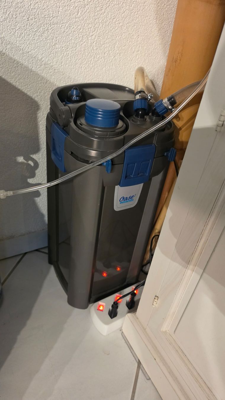 Aquarium: Aquascaping Shallow Poolaquarium – Gebraucht aus Obergerlafingen von Deluxepoint 8