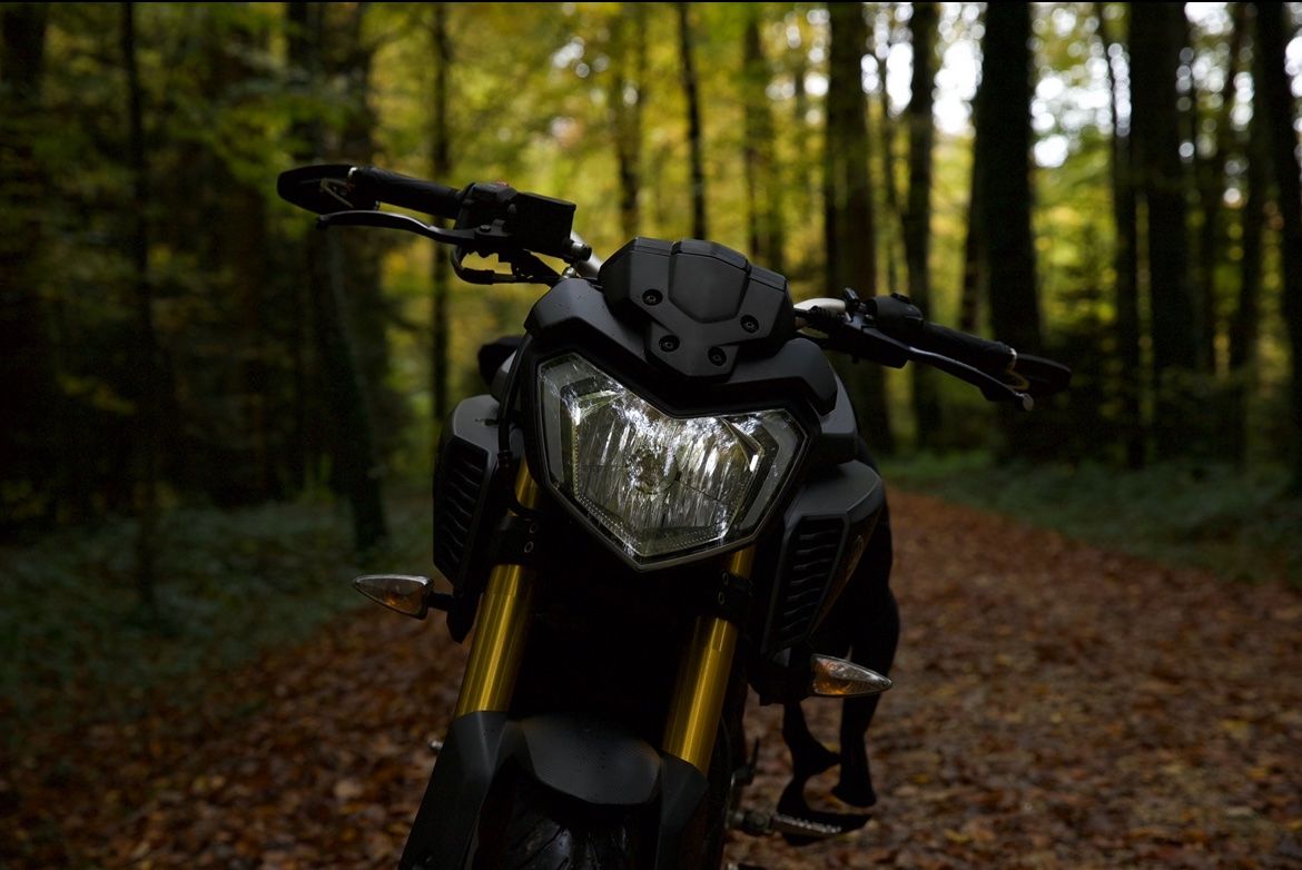 Yamaha Route: Yamaha MT-125, 2016 mit ABS – D'occasion à Rodersdorf par eil_5d7n 3