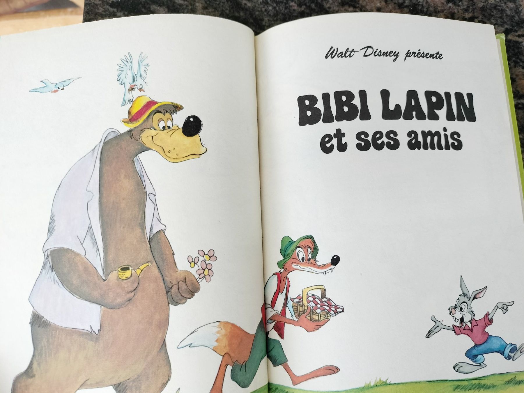 Libri: Bibi Lapin Et Ses Amis Disney (Studio) – Usato da Cortaillod venduto da rozinna 1
