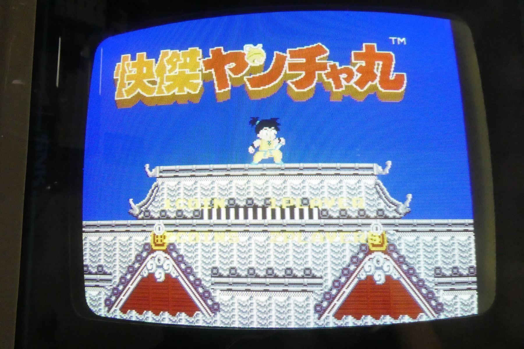 Slot Machine: Arcadeplatine "Radical Ninja" (IREM) – Usato da Lausen venduto da Vectrex1